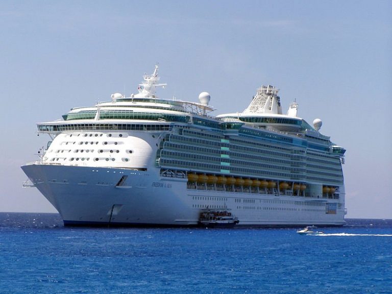 MS_Freedom_of_the_Seas_in_its_maiden_voyage | Your Best Value in Travel ...